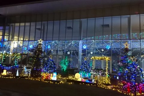 🏞️ 사이다이지 녹화 공원(사이다이지료쿠카코엔) 이미지 5